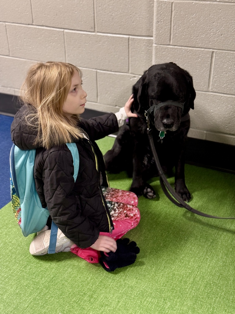 A student pets a black facility dog before school.