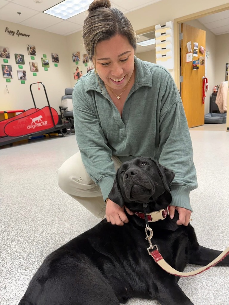 A facility dog lays on the floor and looks up at an adult handler.