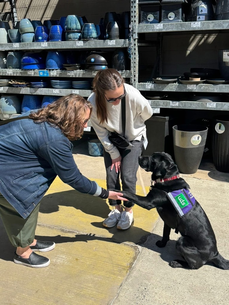 A facility dog offers a handshake to adults.