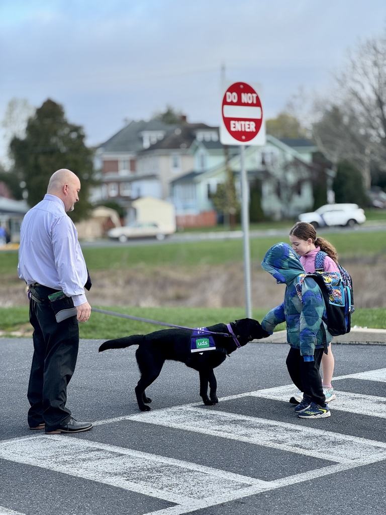 Students pet a facility dog who is helping them cross the street.