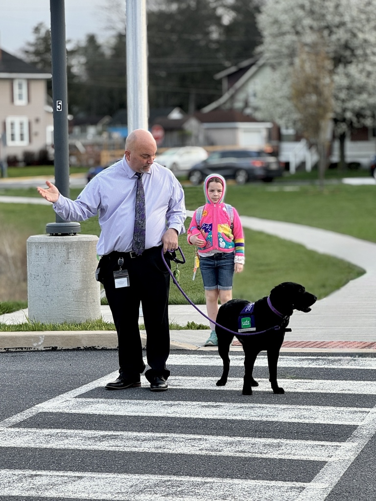 A facility dog helps students safety cross the street.