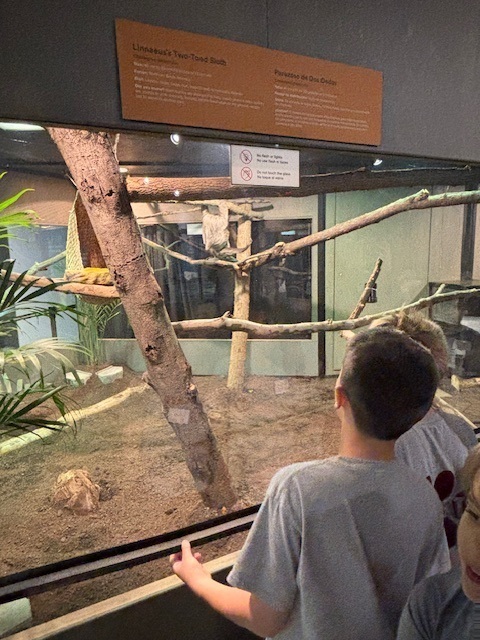 Students look at an animal exhibit at a museum