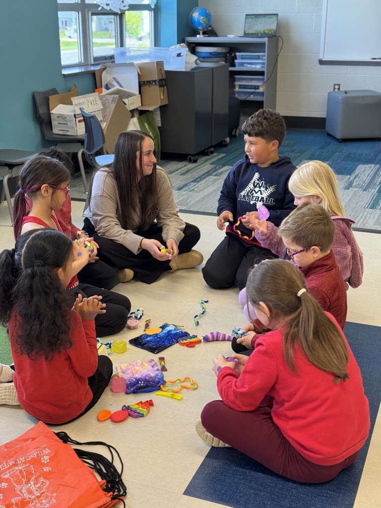 Students sit in a circle on the floor and talk about various fidget toys.