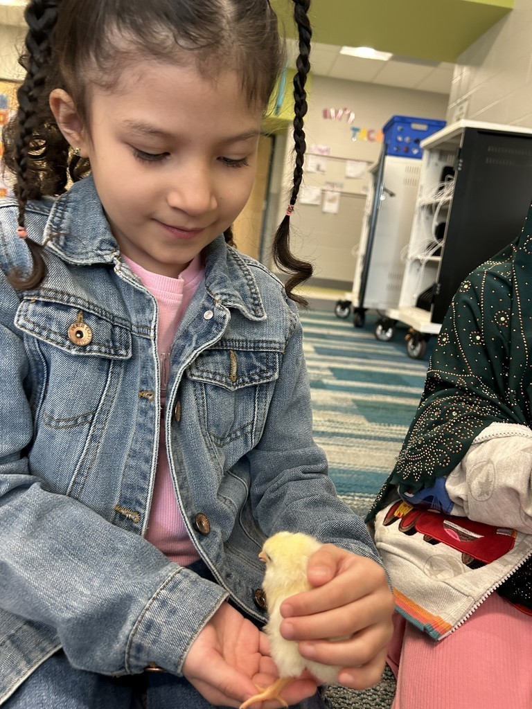 A young student sits on the floor holding a baby chick.