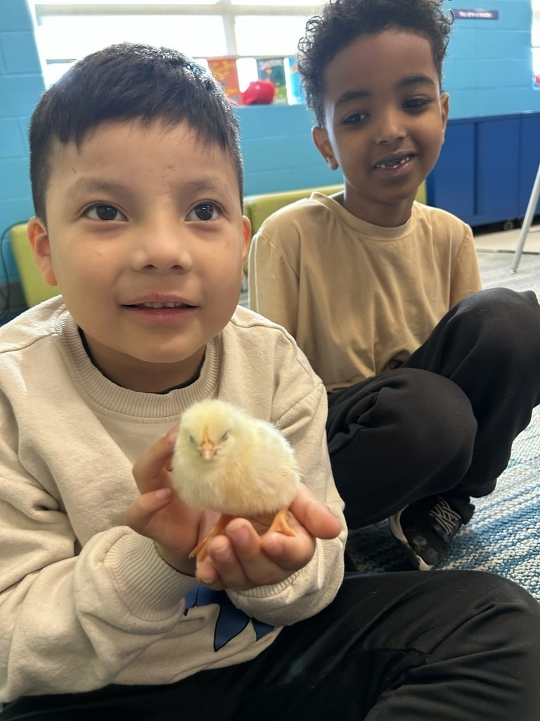 A young student sits on the floor holding a baby chick.