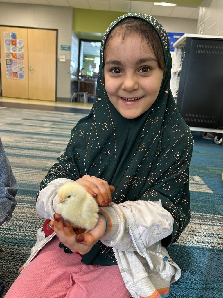 A young student sits on the floor holding a baby chick.