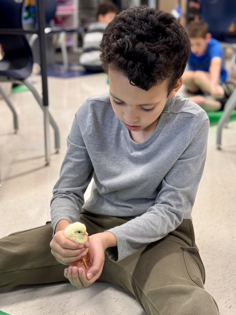 A young student sits on the floor holding a baby chick.