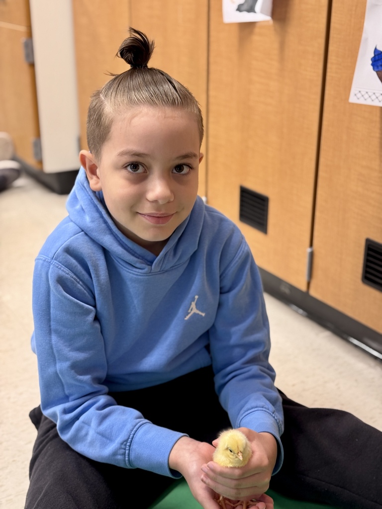 A young student sits on the floor holding a baby chick.