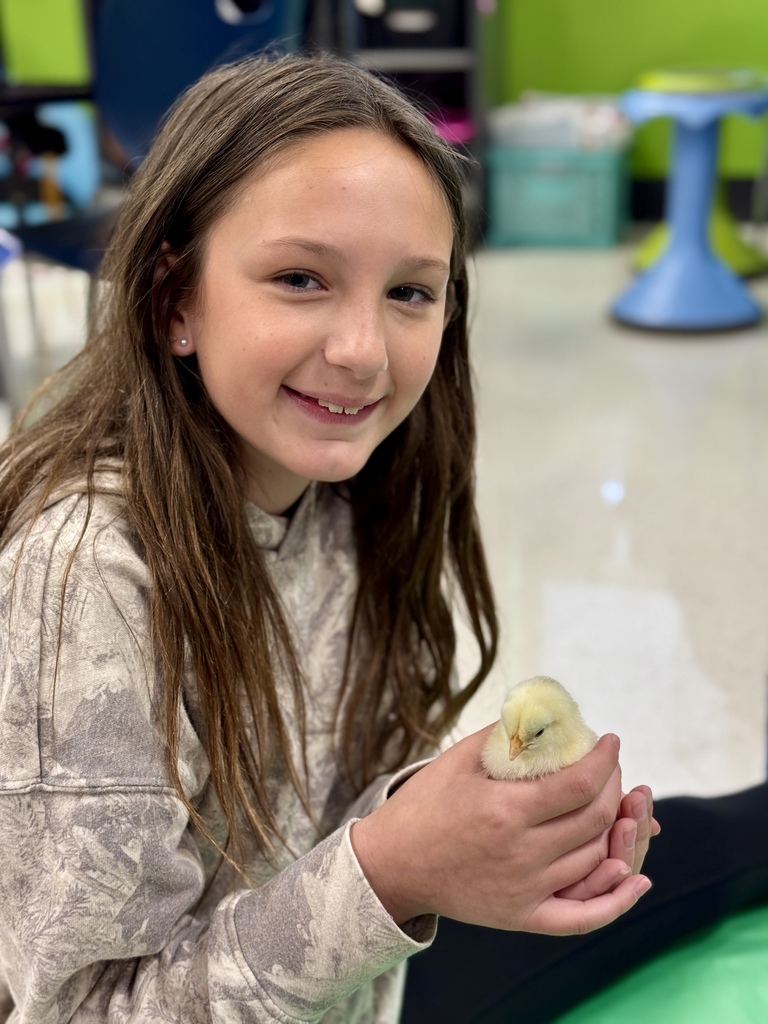 A young student sits on the floor holding a baby chick.