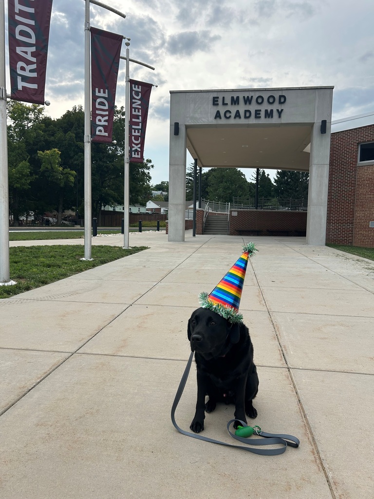 A puppy sits in front of a school while wearing a birthday hat.