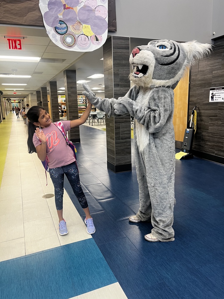 Wildcat mascot gives a student a high five.