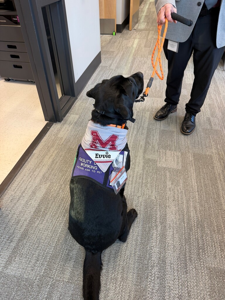 Evvie sporting her Wildcat Wednesday handkerchief