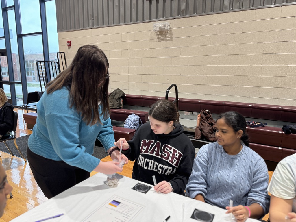 Students complete a chemistry expirement.