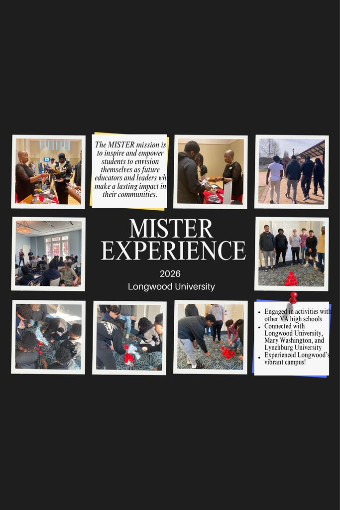 Mister Experience