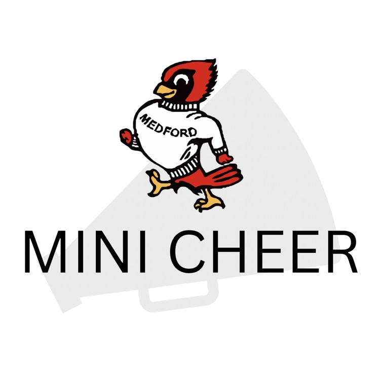 mini cheer
