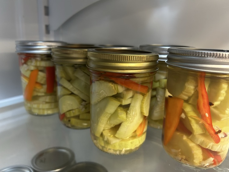 Armenian Dill Pickles