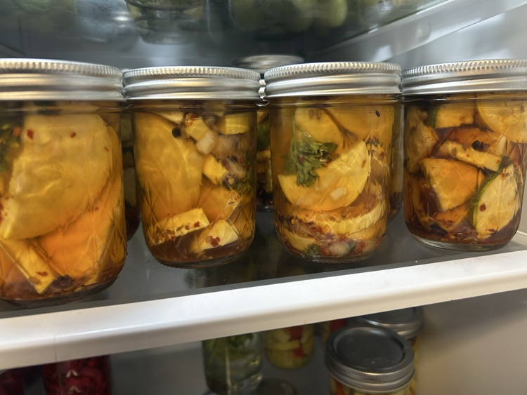 Pickled Squash