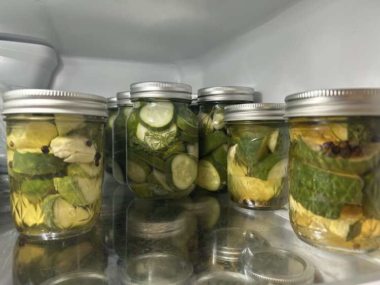 Diil Pickles