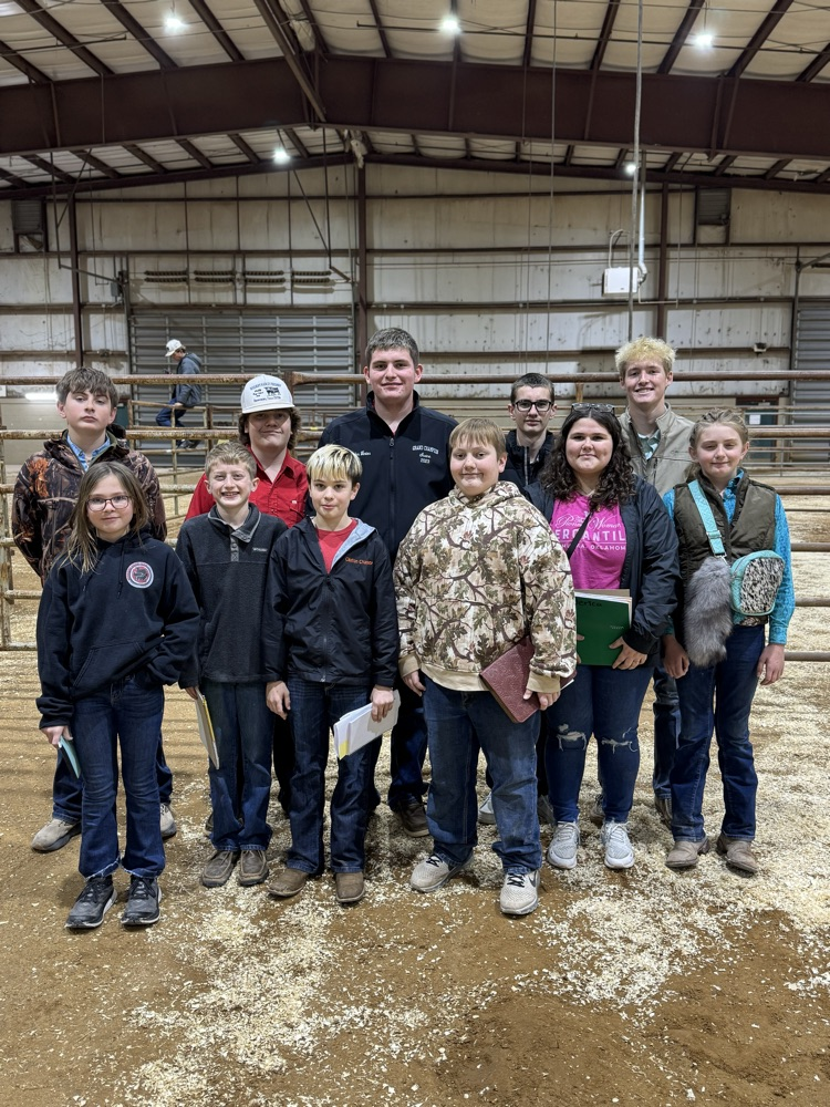 Livestock Judging