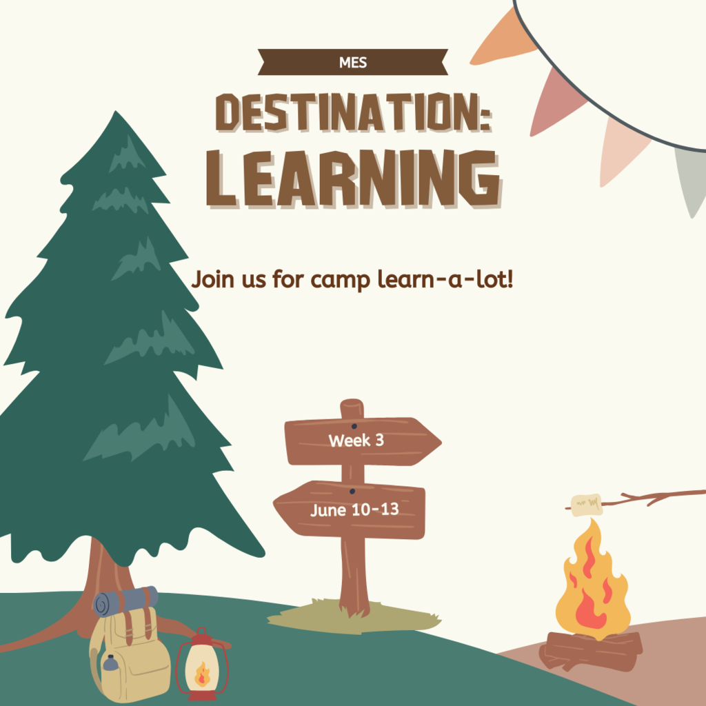 Summer School Week 3