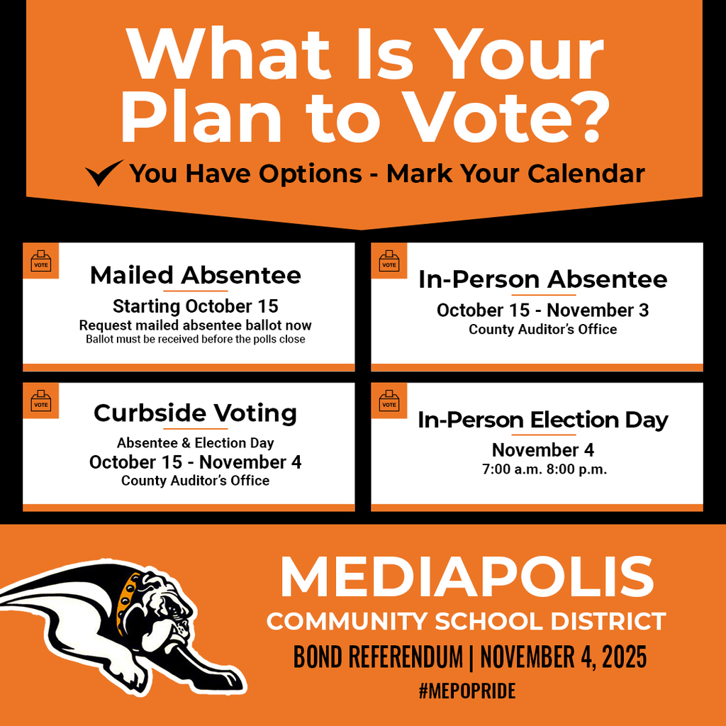 What is your plan to vote?