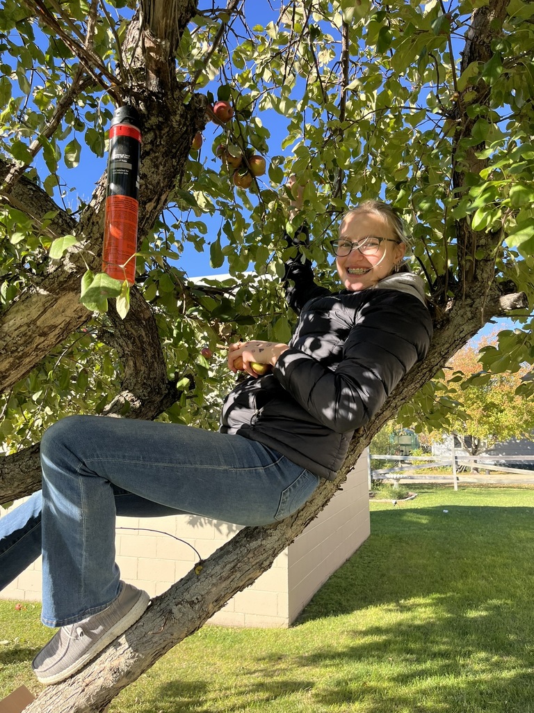 Picking apples at Mrs. Hieb's