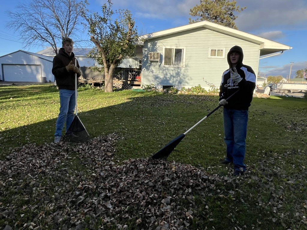 Raking leaves for a community member