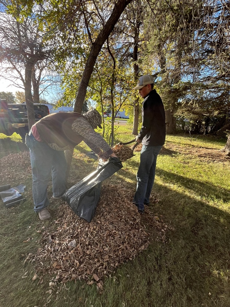 Bagging leaves at the parsonage