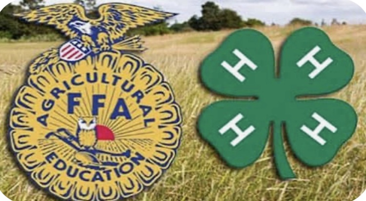 FFA