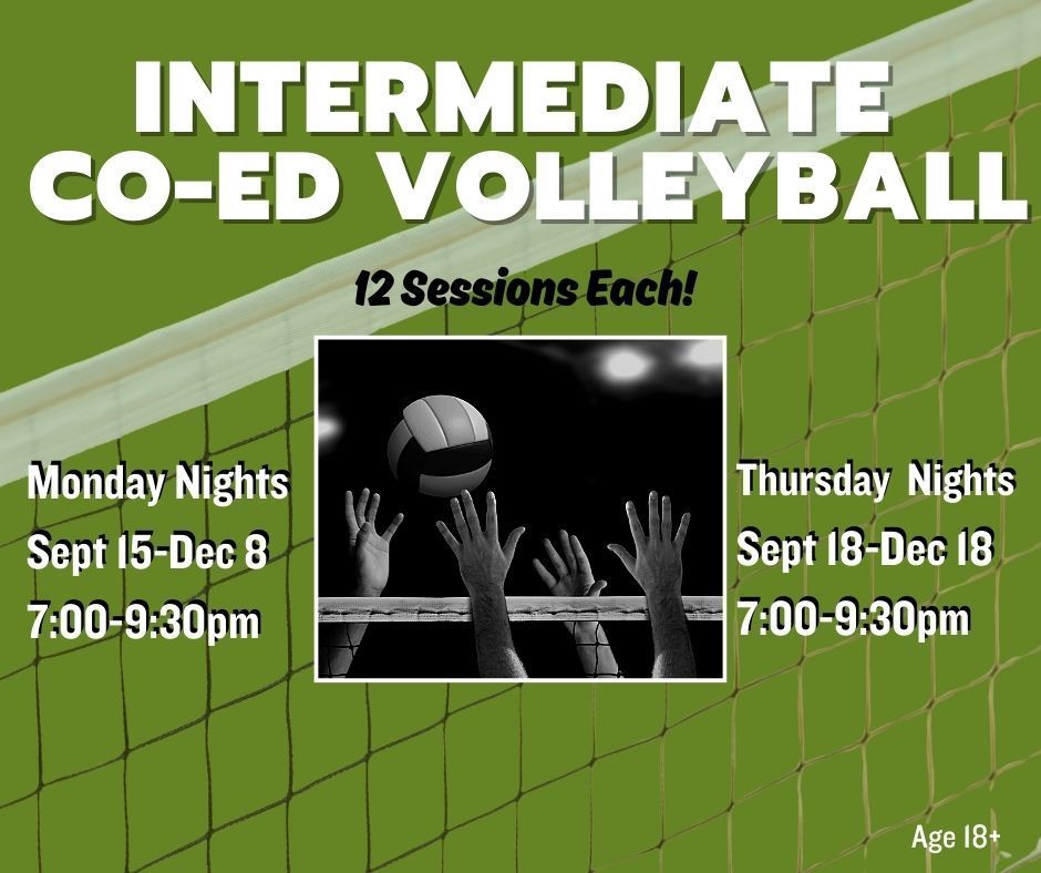 int co ed vball