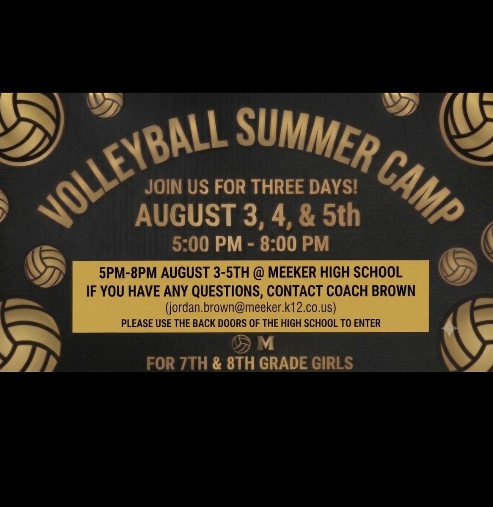 Volleyball Camp