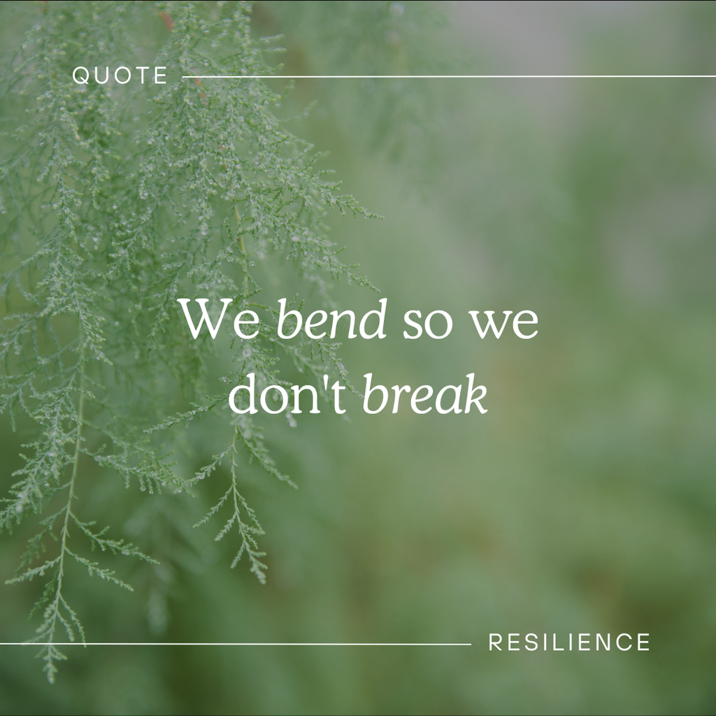 resilience