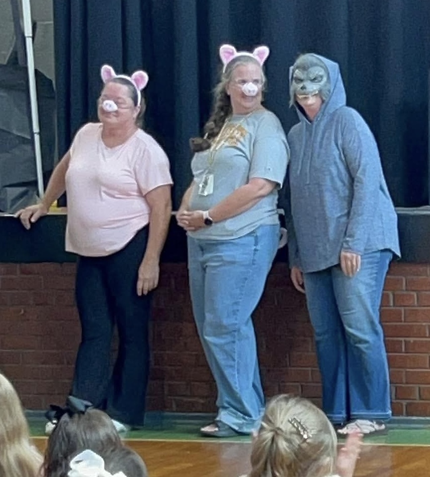 pigs
