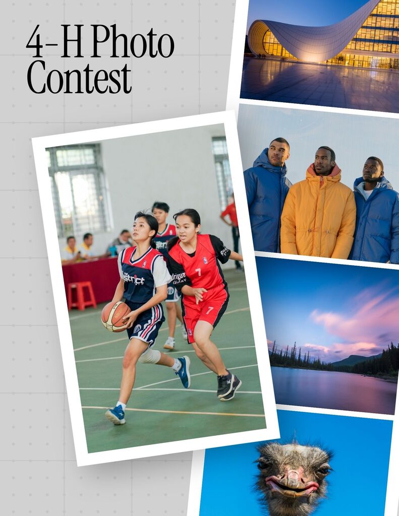 4-H photo contest