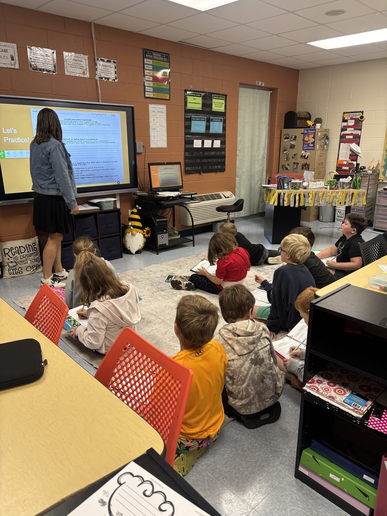 a teacher teaching her class