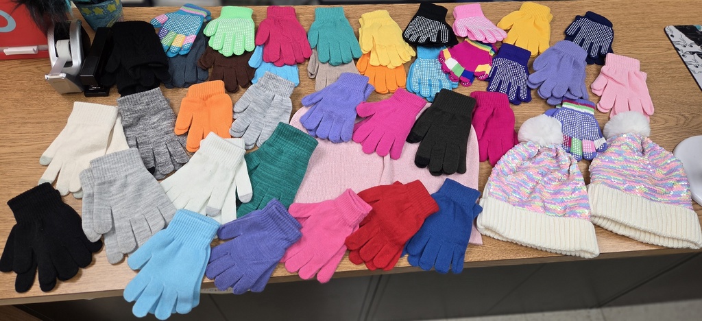 Hat & Glove donation from Saint Pride 4-H Saint Pride