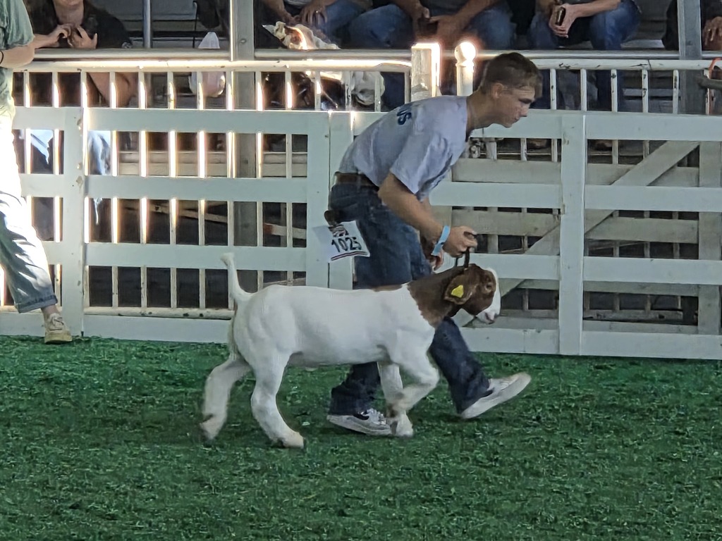 State Fair