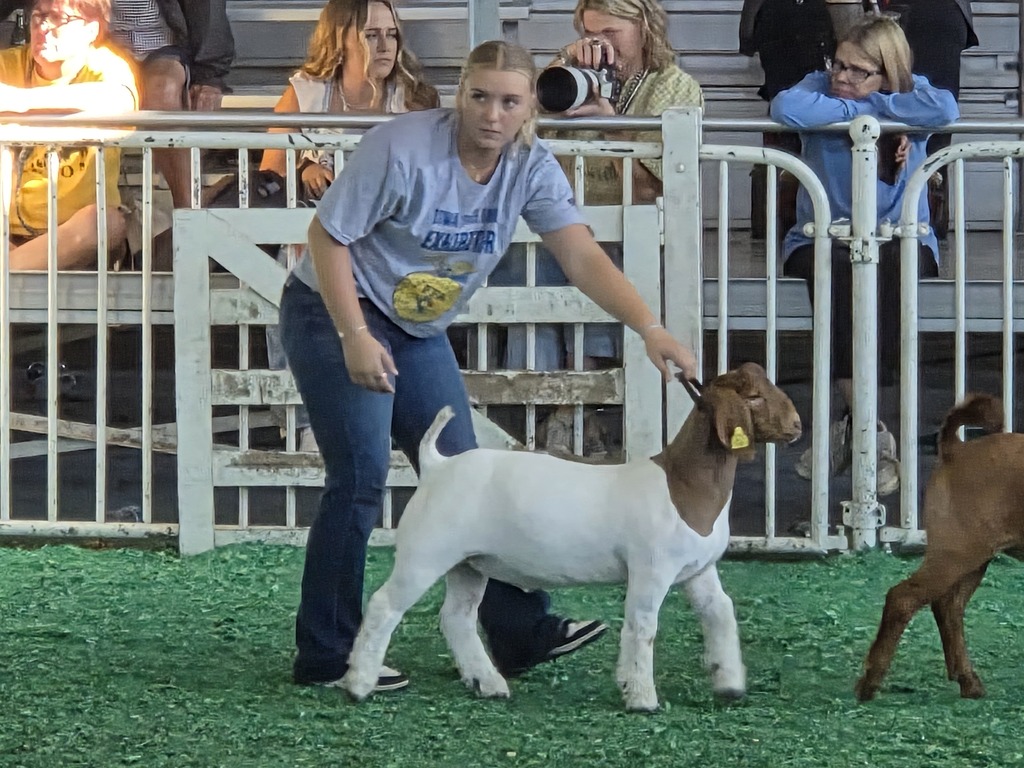 State Fair