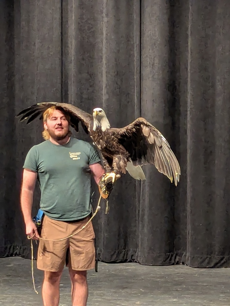 eagle with wing on top of man with green shirt