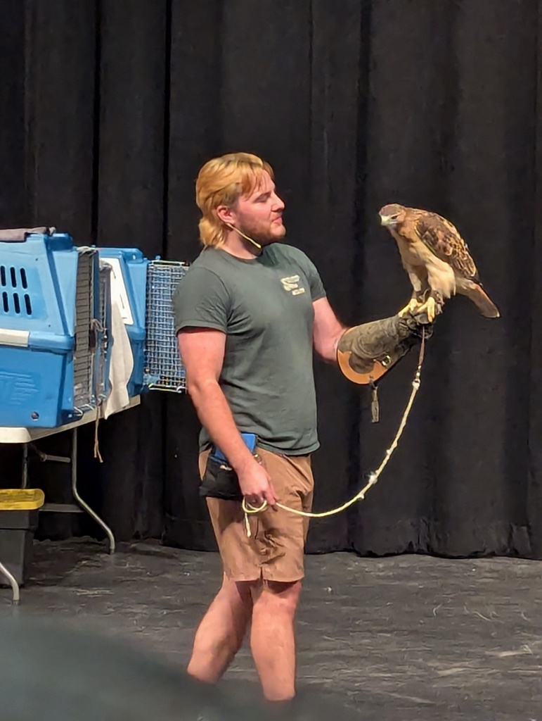 man in green shirt looking a falcon on gloved hand