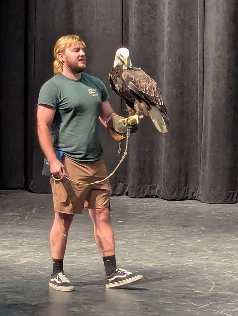 man in green shirt with eagle sitting on gloved hand