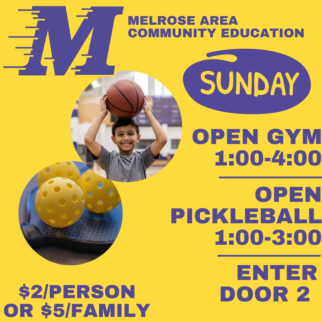 pickleball paddle and balls kid holding basketball