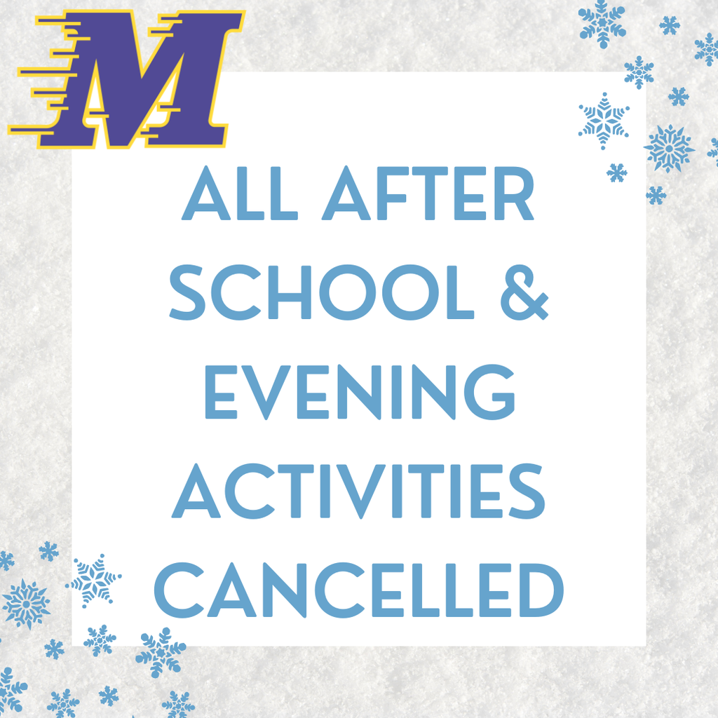 snowfakes on a grey snow background