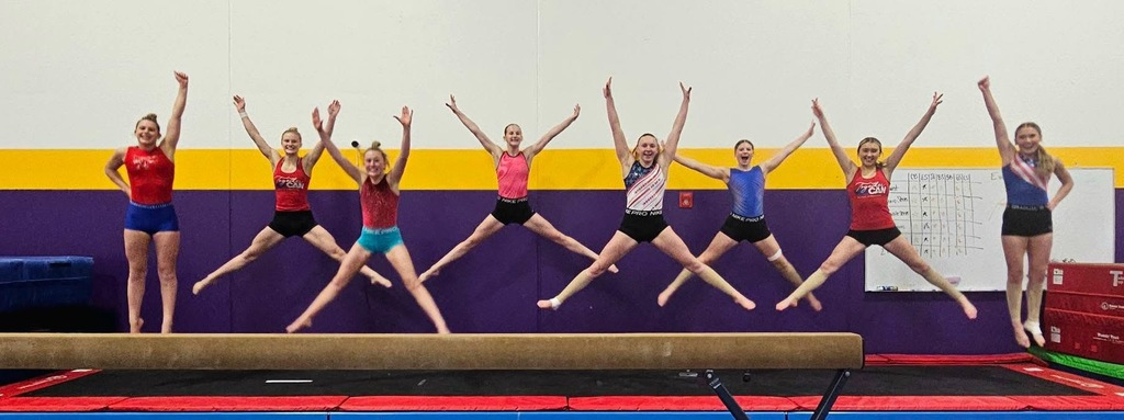 Gymnastics Team