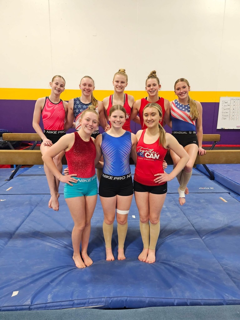 Gymnastics Team