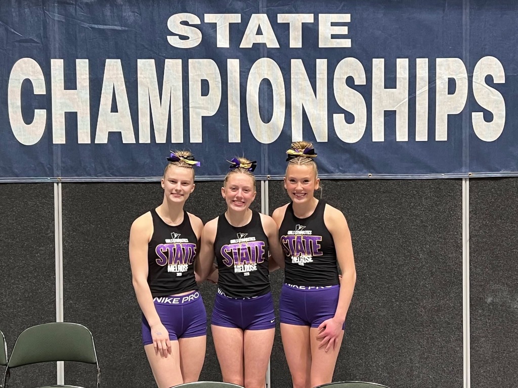 Gymnastics at State