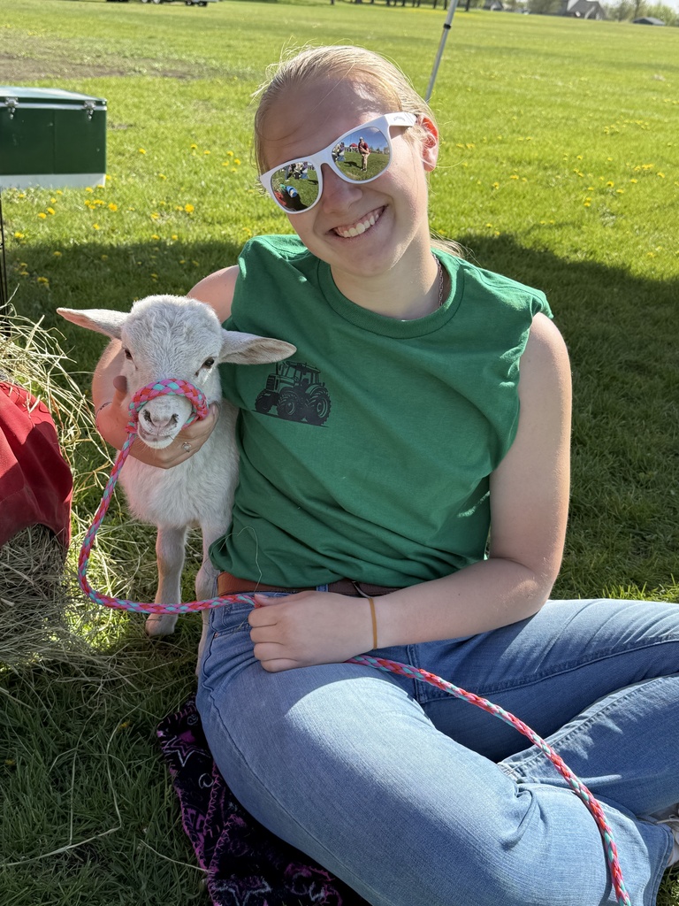 Petting Zoo