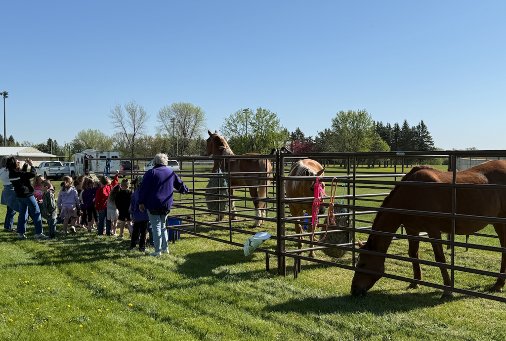 Petting Zoo