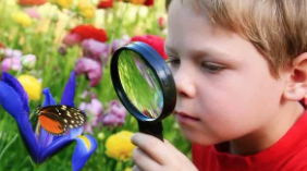 PreK Nature Explorers