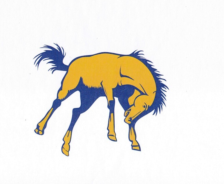 Bronc